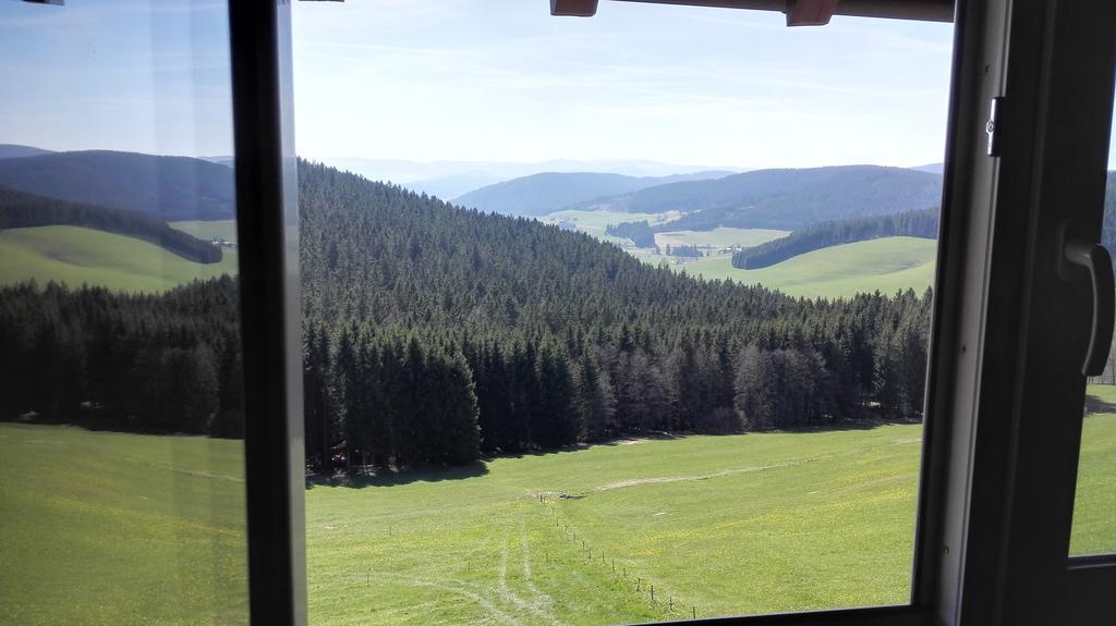 Pension Forsthaus Taele - Das Gaestehaus Vom Schwarzwaldgasthaus Salenhof Titisee-Neustadt Exterior photo