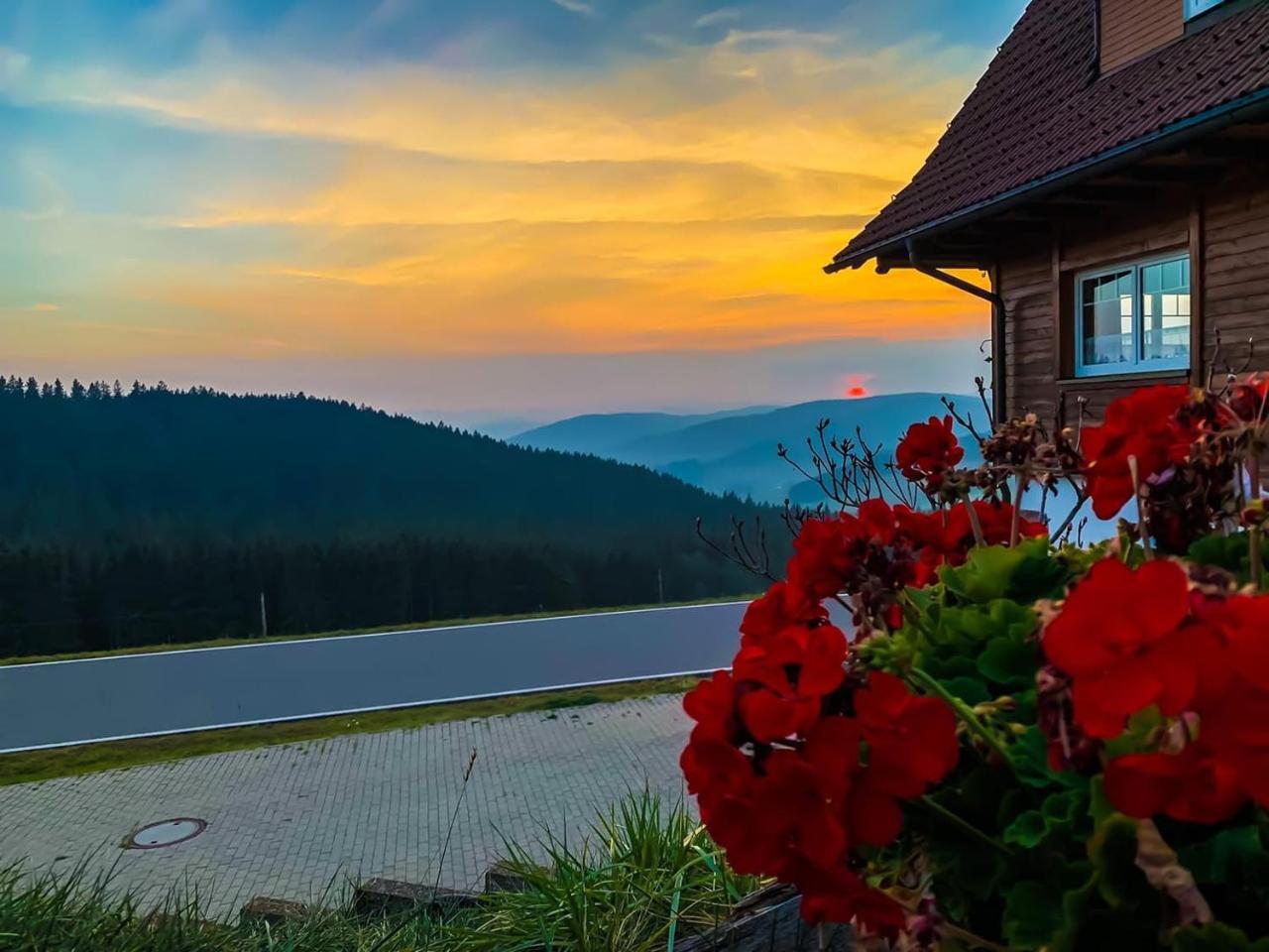 Pension Forsthaus Taele - Das Gaestehaus Vom Schwarzwaldgasthaus Salenhof Titisee-Neustadt Exterior photo